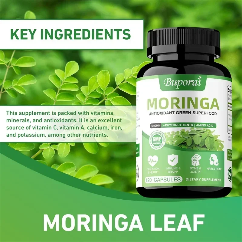 Cápsulas de Moringa - Antioxid - Moringa Leaf Powder avaliação e preço