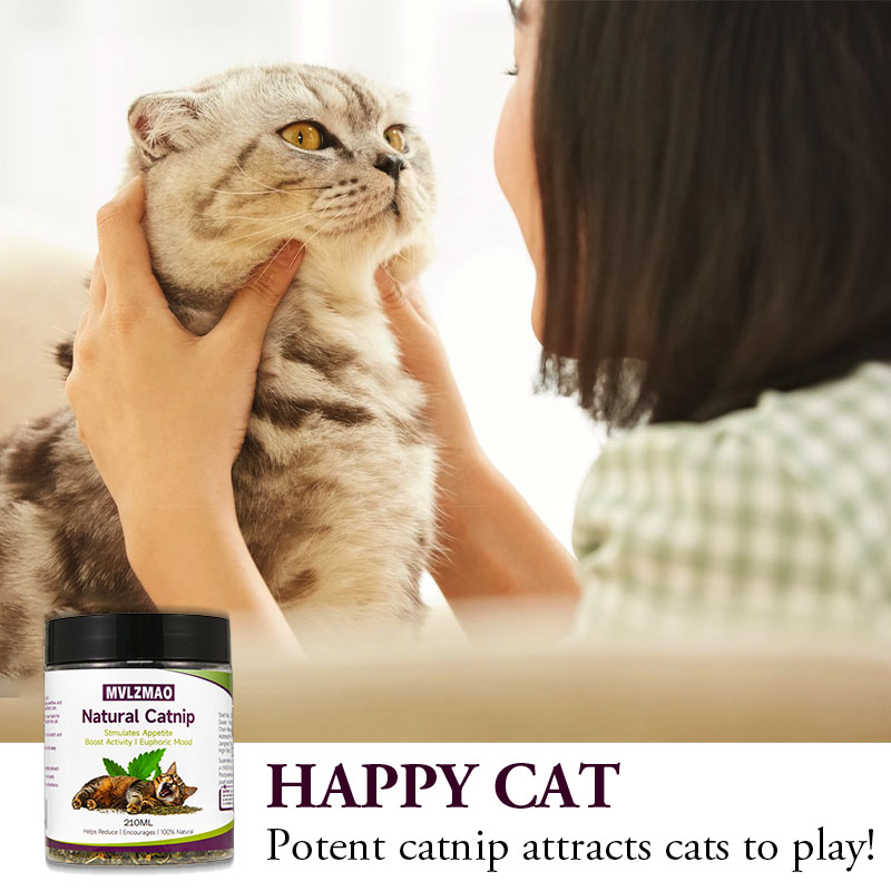 Brinquedos para gatos - Silver - Herbal Wellness Blend avaliação e preço