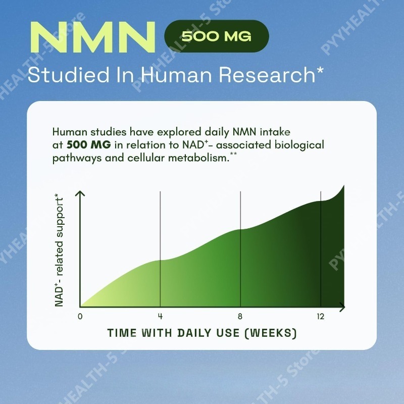 Suplemento Complexo NMN 1000mg - Wellness Quercetin avaliação e preço