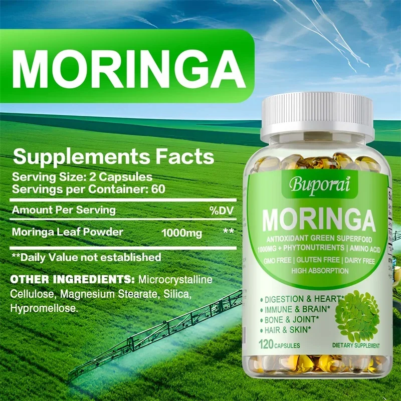 Cápsulas Moringa 1000mg - Apoi - Moringa Leaf Powder avaliação e preço