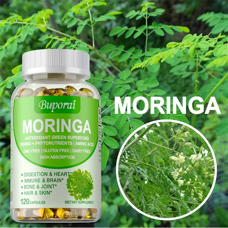 Cápsulas Moringa 1000mg - Apoi - Moringa Leaf Powder avaliação e preço